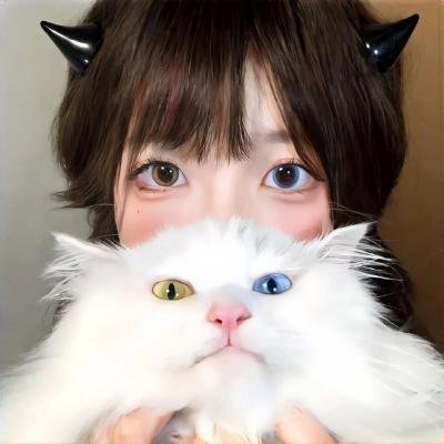 野狗们
